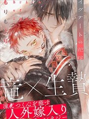 如懿传作者创作风格解析