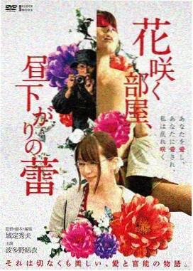 龙城风云 古装电影在线观看